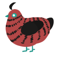 A red and sable chicken with a bar pattern