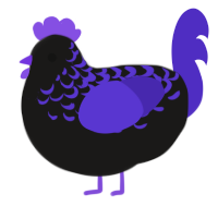 Gothic, a sable and indigo chicken with a half-lace pattern