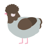 A silver and bark chicken with a head pattern