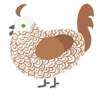 A white and brown chicken with a double-lace pattern