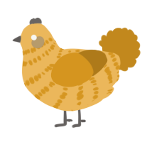 A honey and ochre chicken with a bar pattern