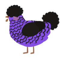 A blurple and sable chicken with a lace pattern