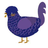A navy and overcast chicken with a lace pattern