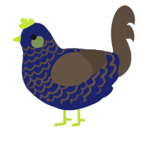 Stormy, a navy and bark chicken with a lace pattern