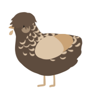 Cappuccino, a bark and beige chicken with a half-lace pattern