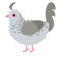 le bird, a mist and ash chicken with a half-lace pattern