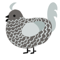 A grey and silver chicken with a lace pattern
