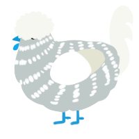 A silver and white chicken with a bar pattern