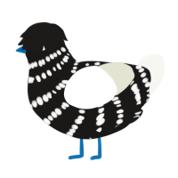 A sable and white chicken with a bar pattern