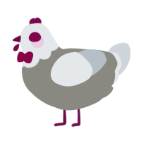 Chicken, a ash and mist chicken with a head pattern