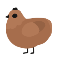 A brown chicken with a head pattern