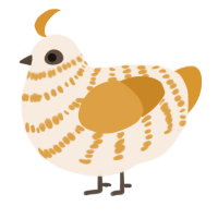A cream and orange chicken with a bar pattern