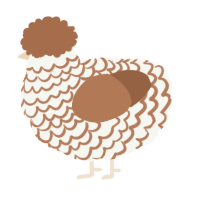A white and brown chicken with a lace pattern