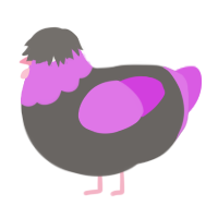A grey and orchid chicken with a head pattern