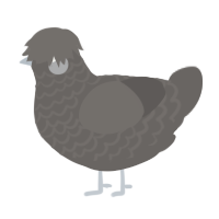 A grey chicken with a lace pattern