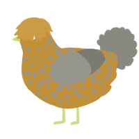 A gold and ash chicken with a speckle pattern