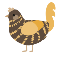 A bark and honey chicken with a bar pattern
