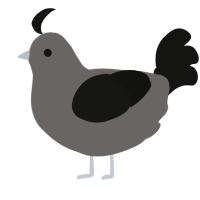 A grey and black chicken
