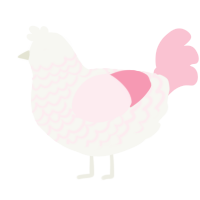 Koko, a white and rose chicken with a lace pattern