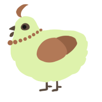 A apple and brown chicken