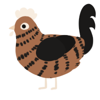 A brown and sable chicken with a bar pattern