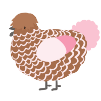A brown and rose chicken with a lace pattern