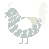 A silver and white chicken with a bar pattern