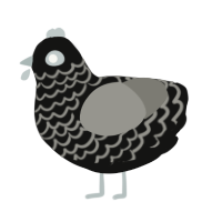 A black and ash chicken with a lace pattern