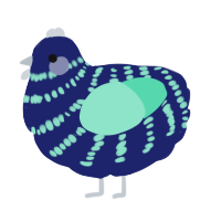 A navy and mint chicken with a bar pattern