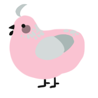 Feather Duster, a rose and silver chicken with a neck-speckle pattern