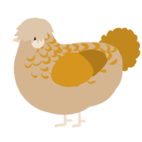 A beige and ochre chicken with a half-lace pattern
