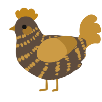 A bark and gold chicken with a bar pattern