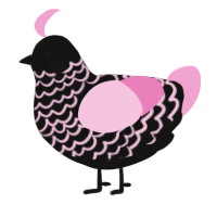 A black and pink chicken with a lace pattern