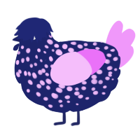 A navy and lavender chicken with a speckle pattern