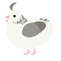 A white and ash chicken with a neck-speckle pattern