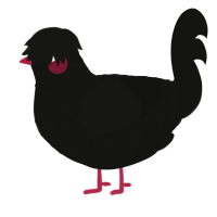 A black chicken with a lace pattern