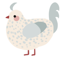 DOT, a cream and silver chicken with a speckle pattern
