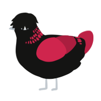 A black and crimson chicken with a neck-band pattern