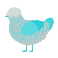 Poe, a silver and aqua chicken with a lace pattern