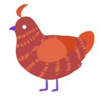 Pumkin, a red and vermilion chicken with a bar pattern