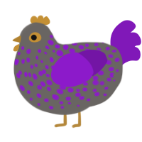 Fluorite, a grey and violet chicken with a speckle pattern