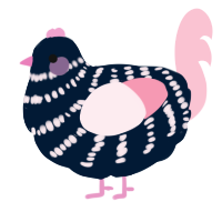 A tumblr and rose chicken with a bar pattern