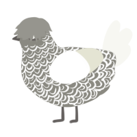 Tissue, a ash and white chicken with a double-lace pattern