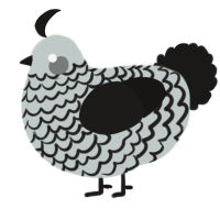 A silver and sable chicken with a lace pattern