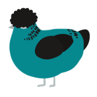 A teal and sable chicken with a neck-band pattern