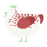 A white and red chicken with a half-lace pattern