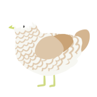 Matcha Chai Latte, a white and beige chicken with a lace pattern