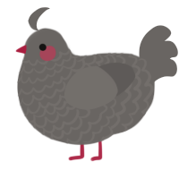A grey chicken with a lace pattern