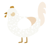 A white and cream chicken with a speckle pattern