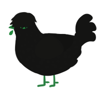 Cry, a black chicken with a speckle pattern